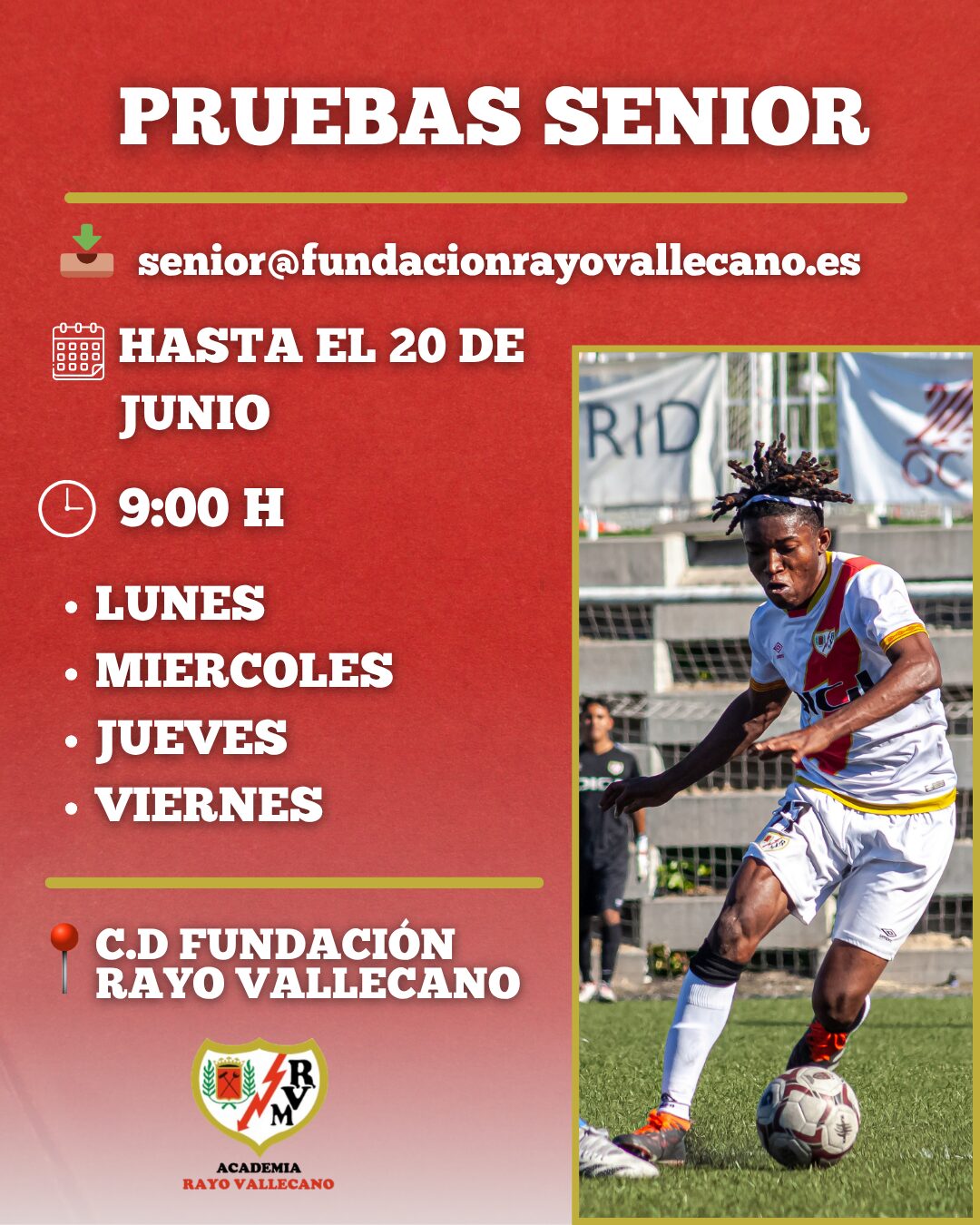 En este momento estás viendo APERTURA DE PRUEBAS PARA LA CATEGORÍA SENIOR DE LA ACADEMIA RAYO VALLECANO